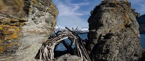 Preview wallpaper stones, branches, logs, sea