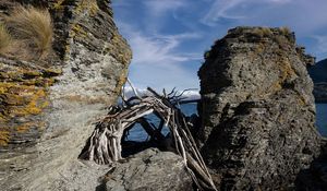 Preview wallpaper stones, branches, logs, sea