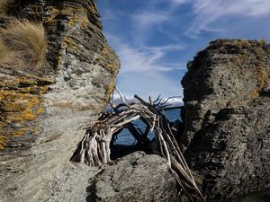 Preview wallpaper stones, branches, logs, sea