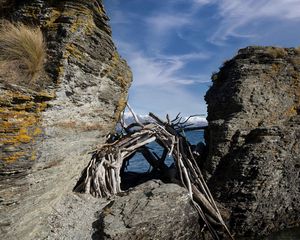 Preview wallpaper stones, branches, logs, sea