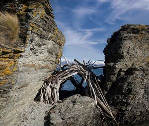 Preview wallpaper stones, branches, logs, sea