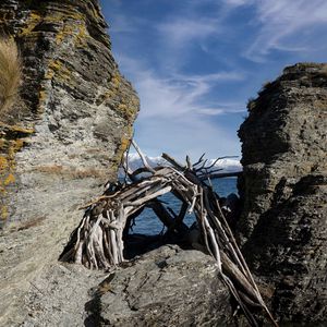 Preview wallpaper stones, branches, logs, sea