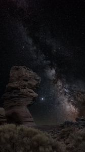 Preview wallpaper stones, bushes, milky way, stars, night