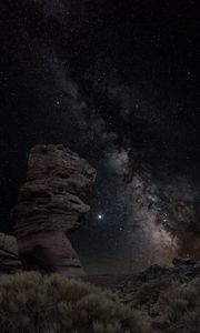 Preview wallpaper stones, bushes, milky way, stars, night