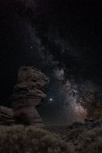 Preview wallpaper stones, bushes, milky way, stars, night