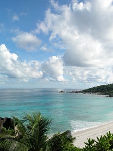 Preview wallpaper stones, coast, palm trees, tropics, equator