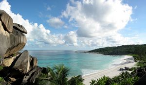 Preview wallpaper stones, coast, palm trees, tropics, equator