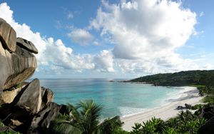 Preview wallpaper stones, coast, palm trees, tropics, equator