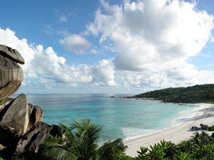 Preview wallpaper stones, coast, palm trees, tropics, equator