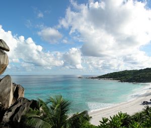 Preview wallpaper stones, coast, palm trees, tropics, equator