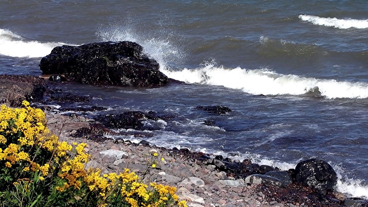 Wallpaper stones, coast, splashes, waves, blow, flowers