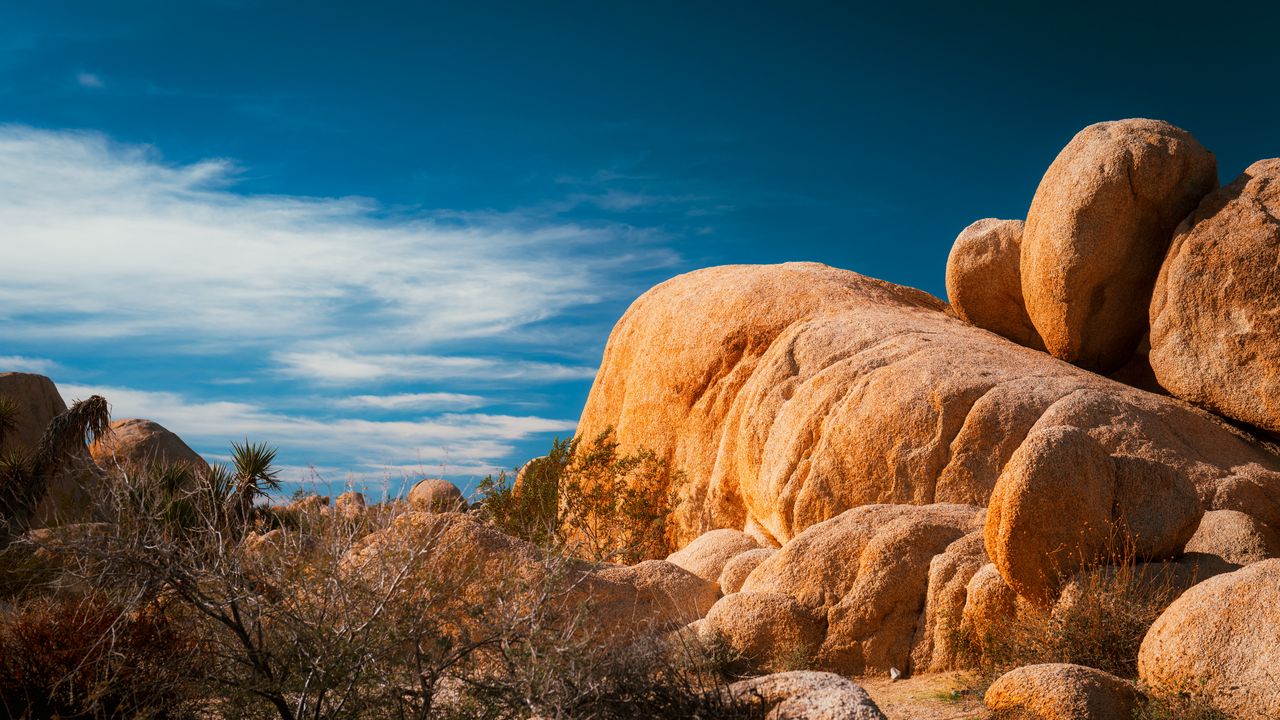 Wallpaper stones, desert, trees, branches, nature