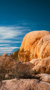 Preview wallpaper stones, desert, trees, branches, nature