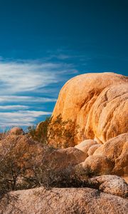 Preview wallpaper stones, desert, trees, branches, nature