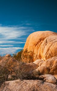 Preview wallpaper stones, desert, trees, branches, nature