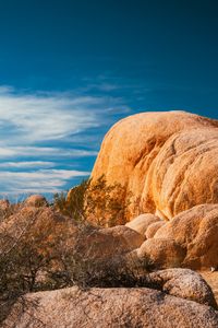 Preview wallpaper stones, desert, trees, branches, nature