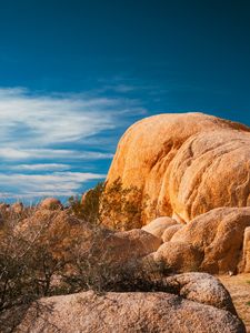 Preview wallpaper stones, desert, trees, branches, nature