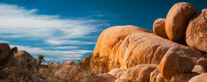 Preview wallpaper stones, desert, trees, branches, nature