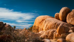 Preview wallpaper stones, desert, trees, branches, nature