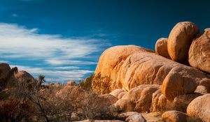 Preview wallpaper stones, desert, trees, branches, nature