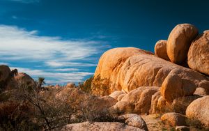 Preview wallpaper stones, desert, trees, branches, nature