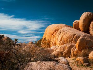 Preview wallpaper stones, desert, trees, branches, nature