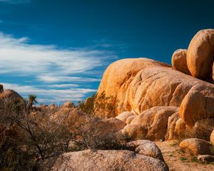 Preview wallpaper stones, desert, trees, branches, nature