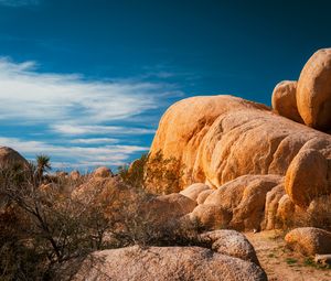 Preview wallpaper stones, desert, trees, branches, nature