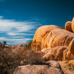 Preview wallpaper stones, desert, trees, branches, nature