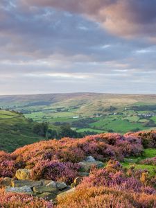 Preview wallpaper stones, flowers, mountains, hills, slopes, sky, clouds, gray, horizon