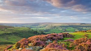 Preview wallpaper stones, flowers, mountains, hills, slopes, sky, clouds, gray, horizon