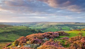 Preview wallpaper stones, flowers, mountains, hills, slopes, sky, clouds, gray, horizon