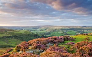 Preview wallpaper stones, flowers, mountains, hills, slopes, sky, clouds, gray, horizon