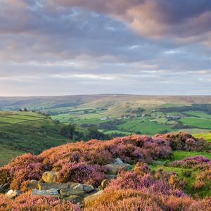 Preview wallpaper stones, flowers, mountains, hills, slopes, sky, clouds, gray, horizon