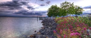 Preview wallpaper stones, flowers, trees, young growth, reservoir, sky, clouds, colors, cloudy, emptiness