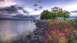 Preview wallpaper stones, flowers, trees, young growth, reservoir, sky, clouds, colors, cloudy, emptiness