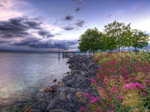 Preview wallpaper stones, flowers, trees, young growth, reservoir, sky, clouds, colors, cloudy, emptiness
