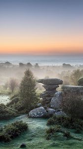 Preview wallpaper stones, fog, coast, vegetation, morning, dawn