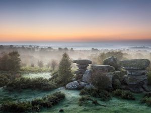 Preview wallpaper stones, fog, coast, vegetation, morning, dawn