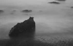 Preview wallpaper stones, fog, sea, black and white