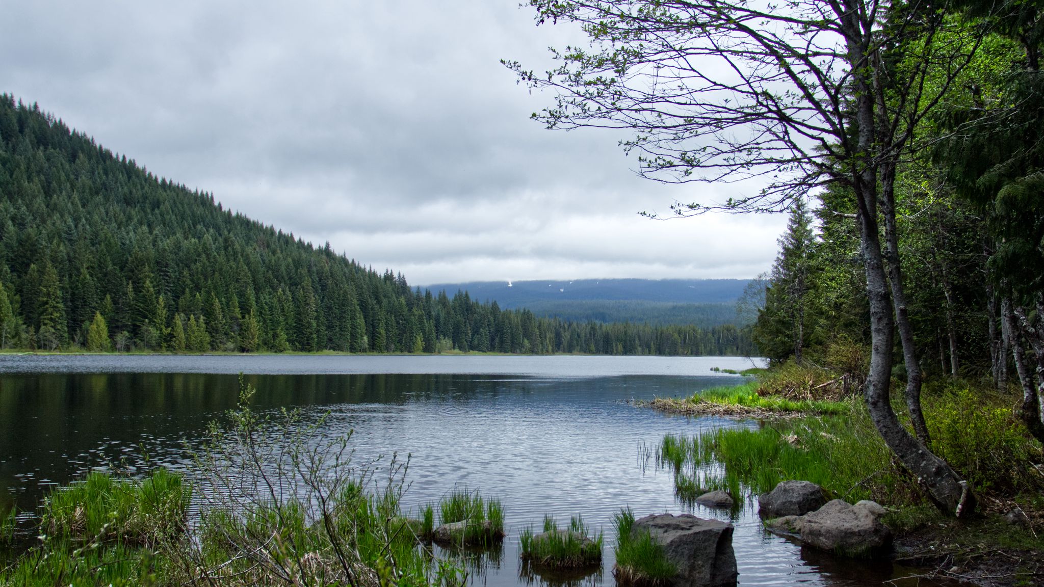 2048x1152 Wallpaper stones, grass, river, forest, mountains, clouds