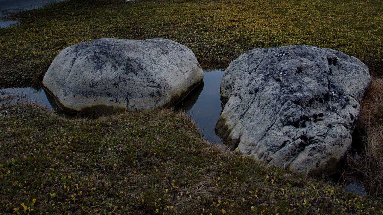 Wallpaper stones, grass, shore, sea, twilight