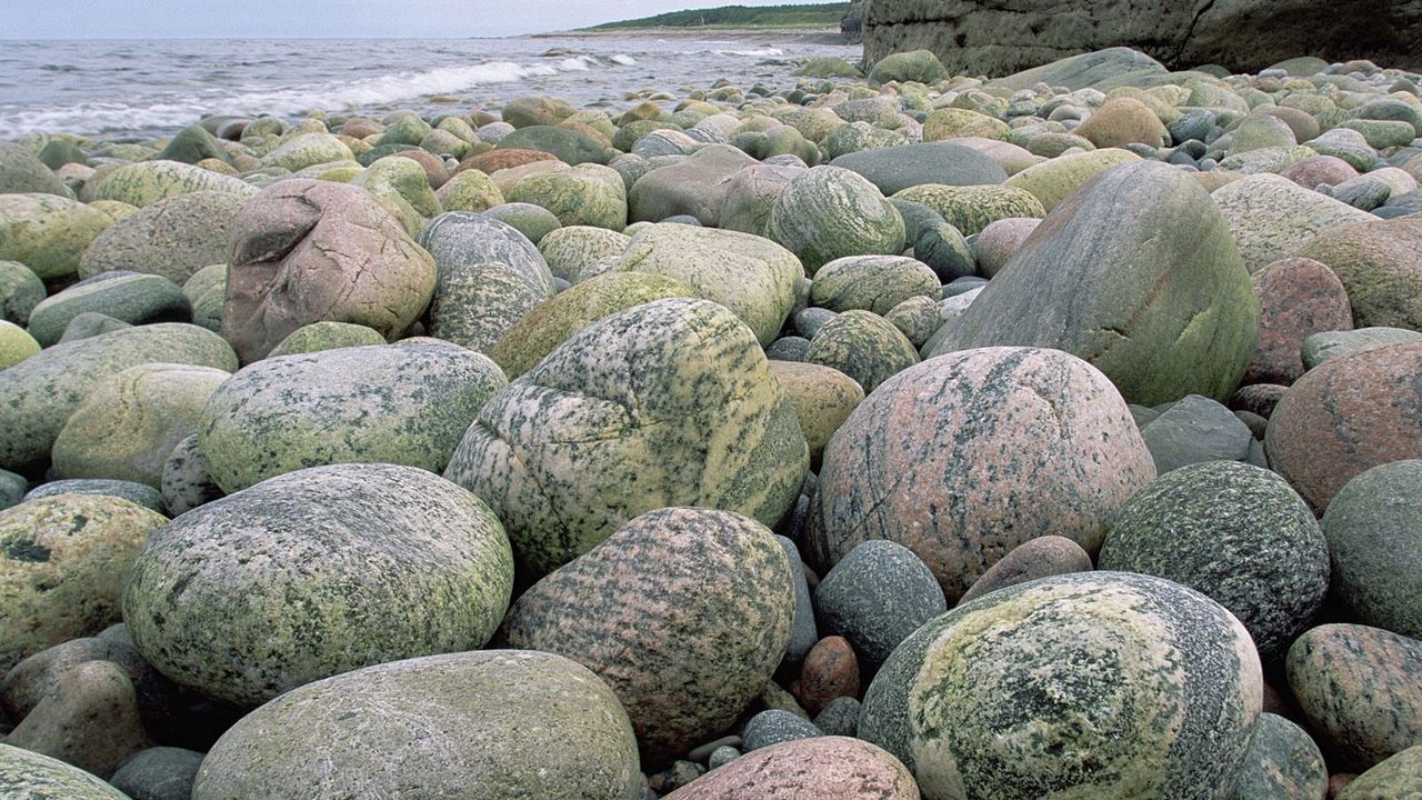 Wallpaper stones, gray, beach, round