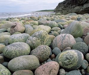 Preview wallpaper stones, gray, beach, round