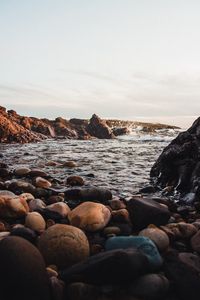 Preview wallpaper stones, jackdaws, rocks, sea, sky