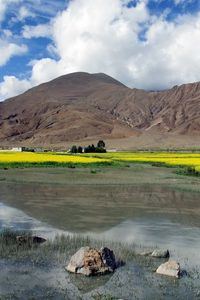 Preview wallpaper stones, lake, dandelions, mountains