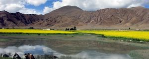 Preview wallpaper stones, lake, dandelions, mountains