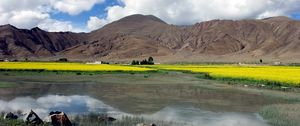 Preview wallpaper stones, lake, dandelions, mountains