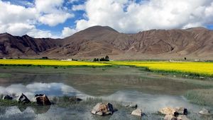 Preview wallpaper stones, lake, dandelions, mountains