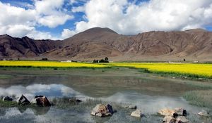 Preview wallpaper stones, lake, dandelions, mountains